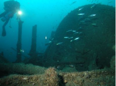 Satara Boiler